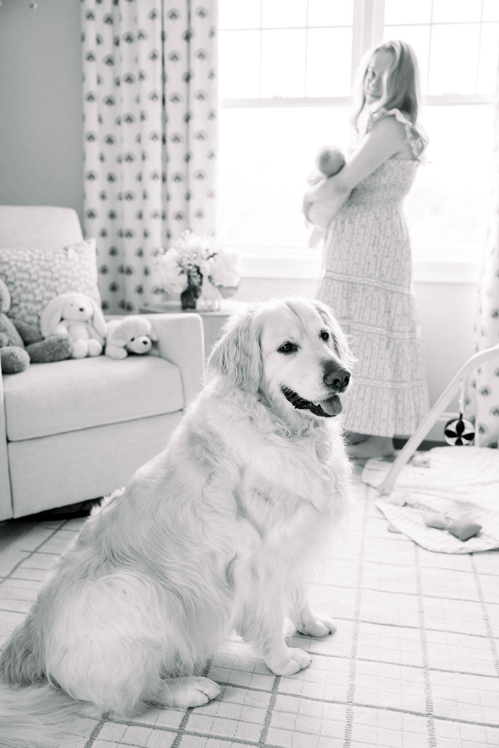 A white Golden Retriever sits in a bright nursery room while someone stands by the window holding a baby.