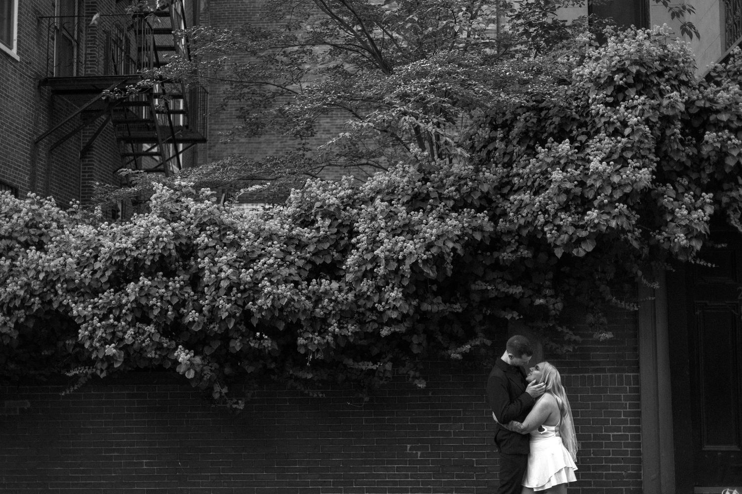 Black and white photo series showing a couple walking together through a garden with blooming trees and flowers.