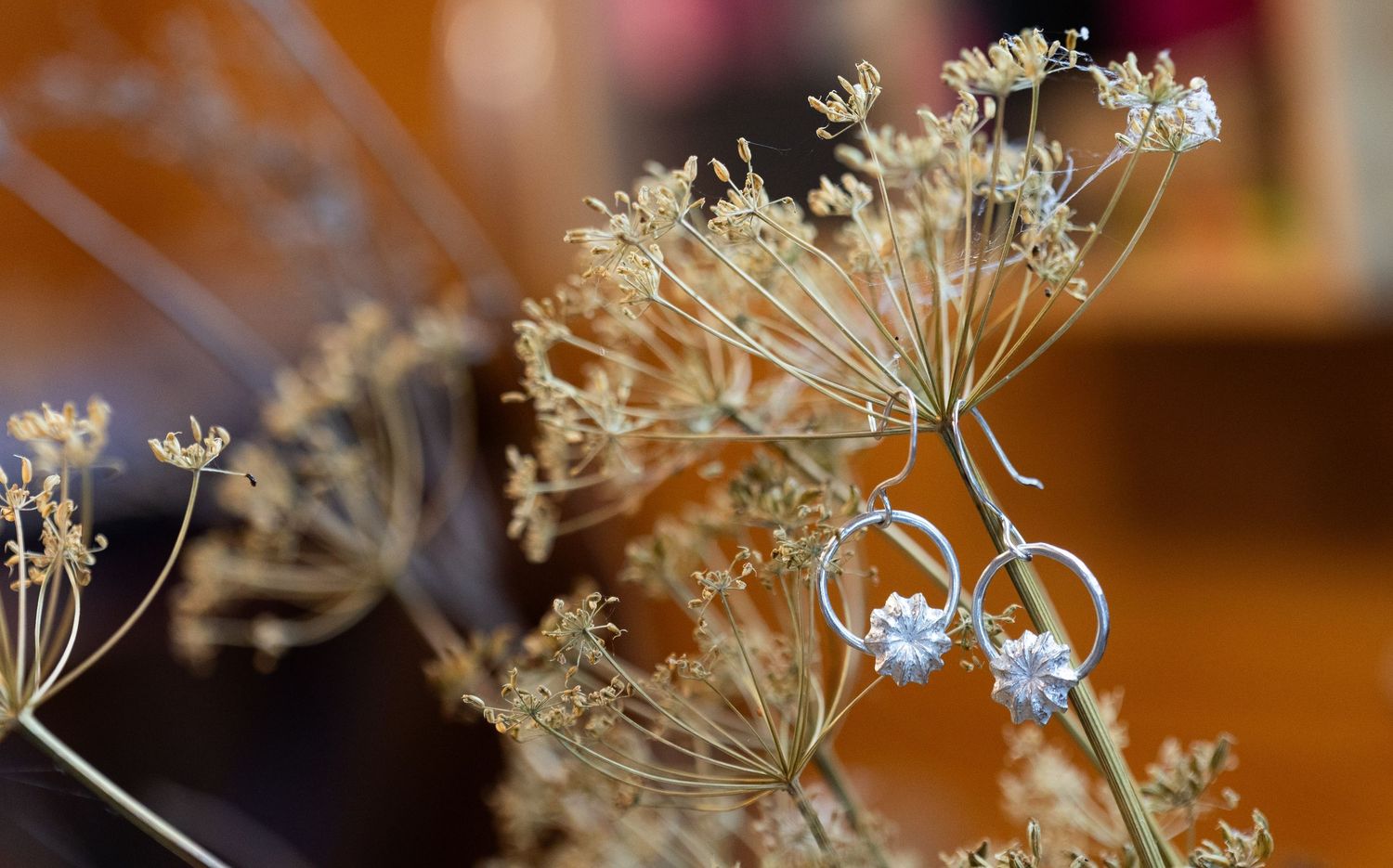 Delicate dried flower stems with tiny white blooms against a warm orange background.
