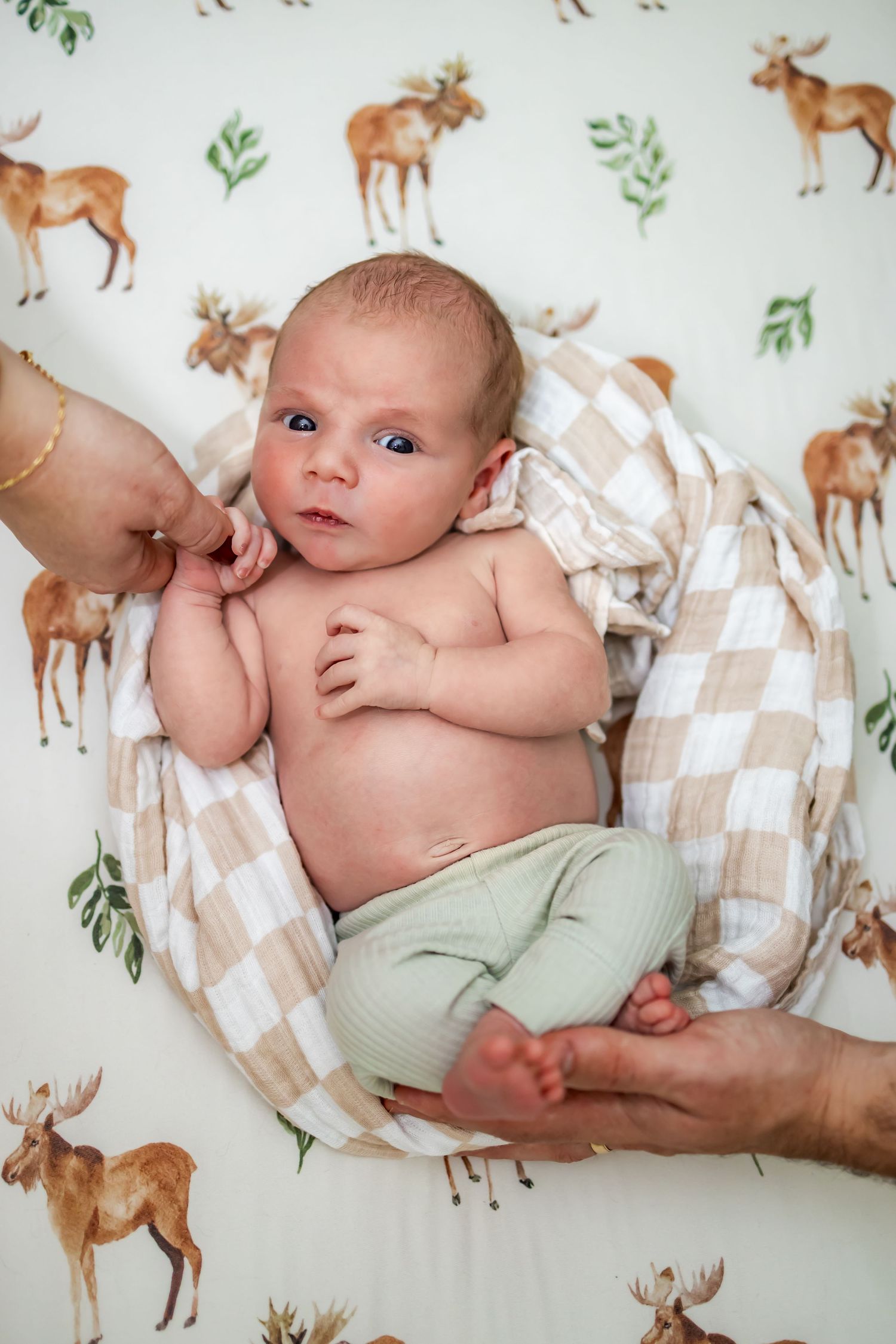 A small infant lies on a blanket with woodland deer pattern while being supported by gentle hands.