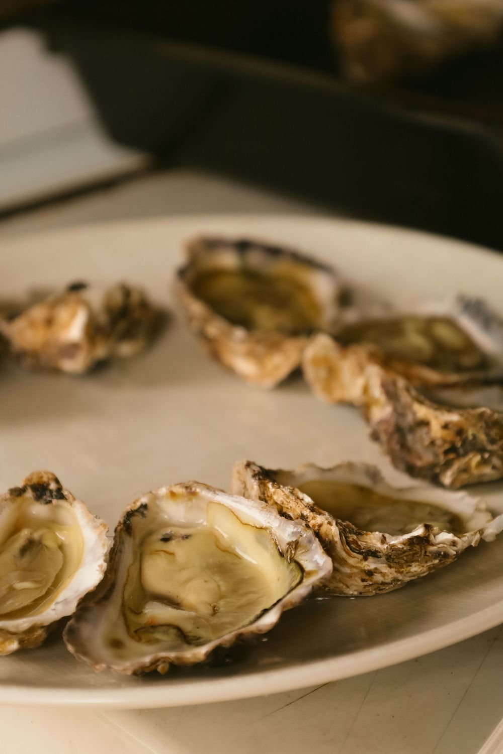 Fresh raw oysters on the half shell arranged in a line on a white plate.