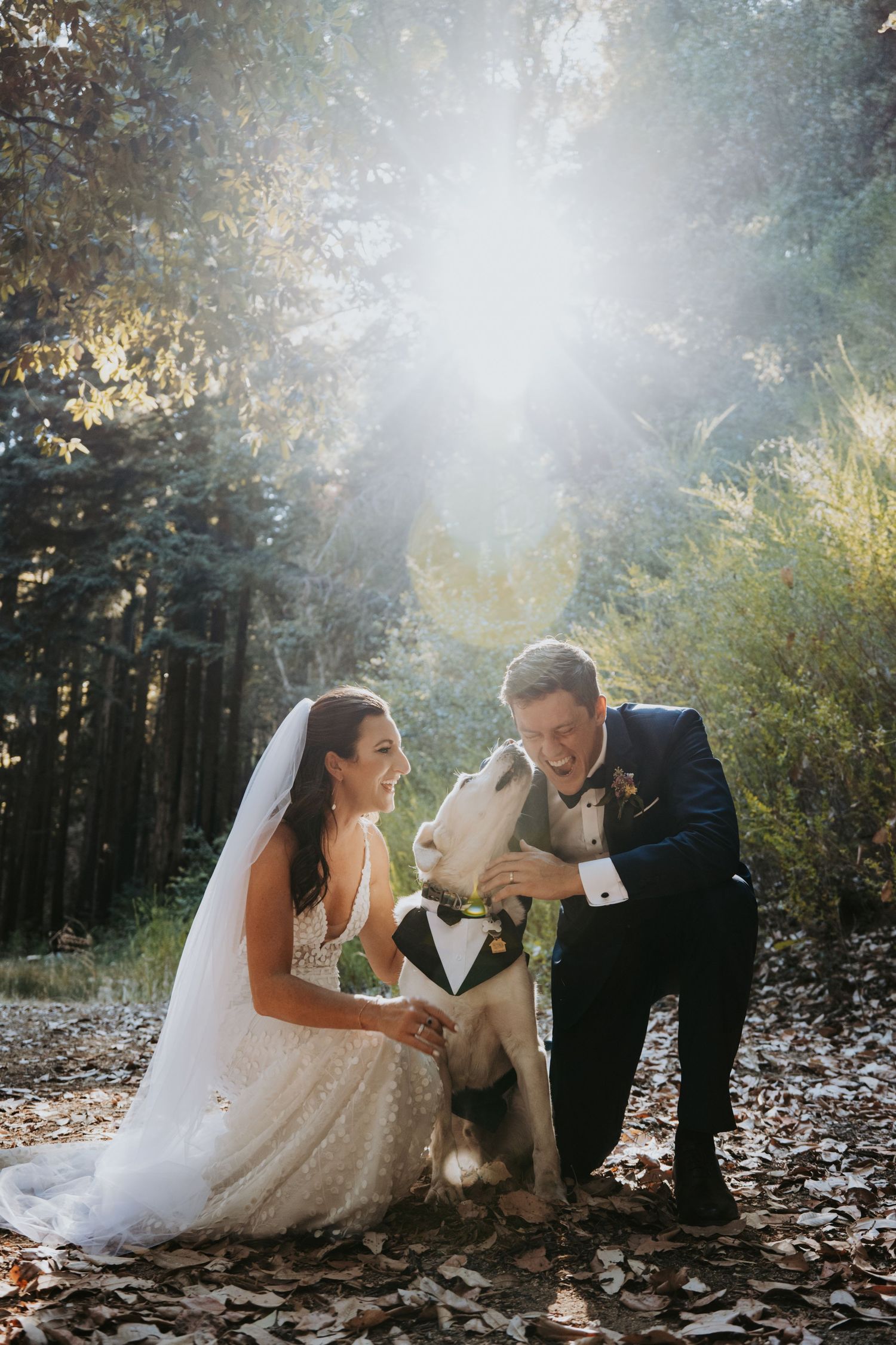dog ring bearer wedding at waterfall lodge