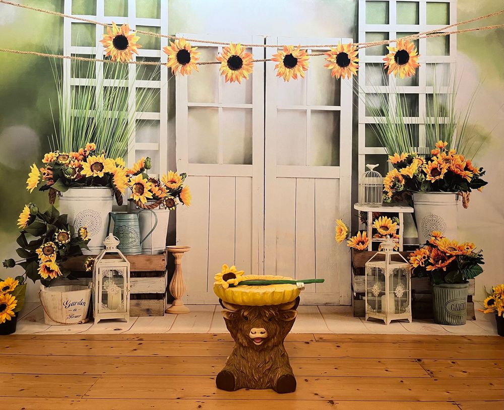 Summer Mini Backdrop