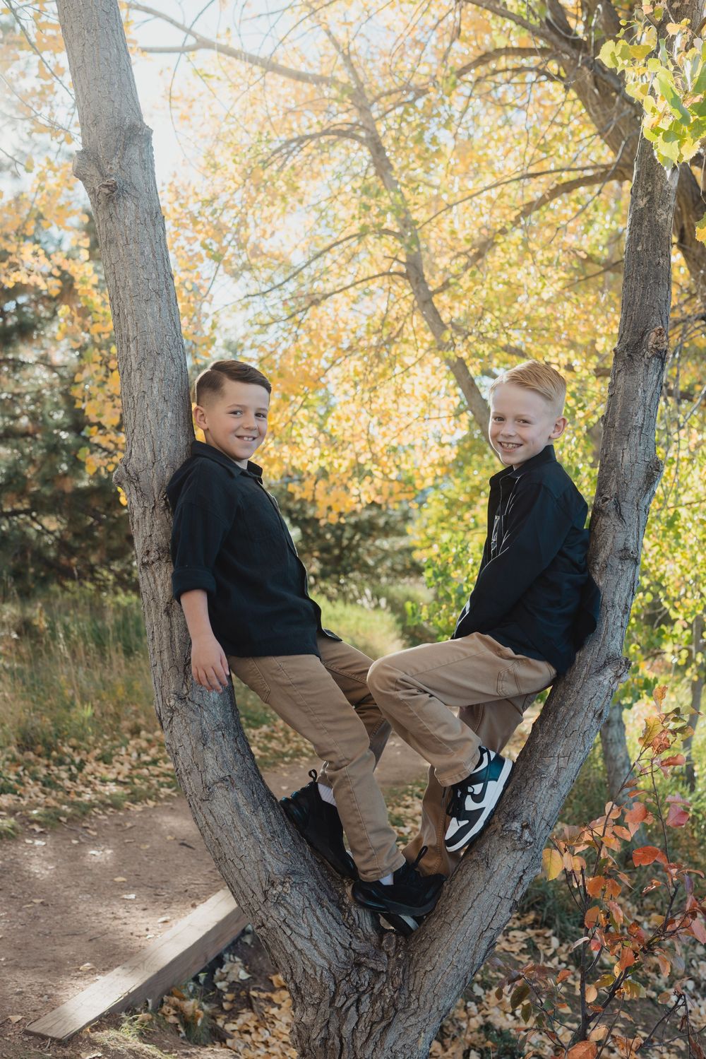 Two children in black shirts and khaki pants sit together in a tree branch during autumn with golden foliage in background.