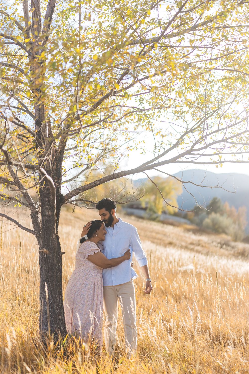 Couple embracing in golden autumn field beneath a tree at sunset creating romantic silhouettes.
