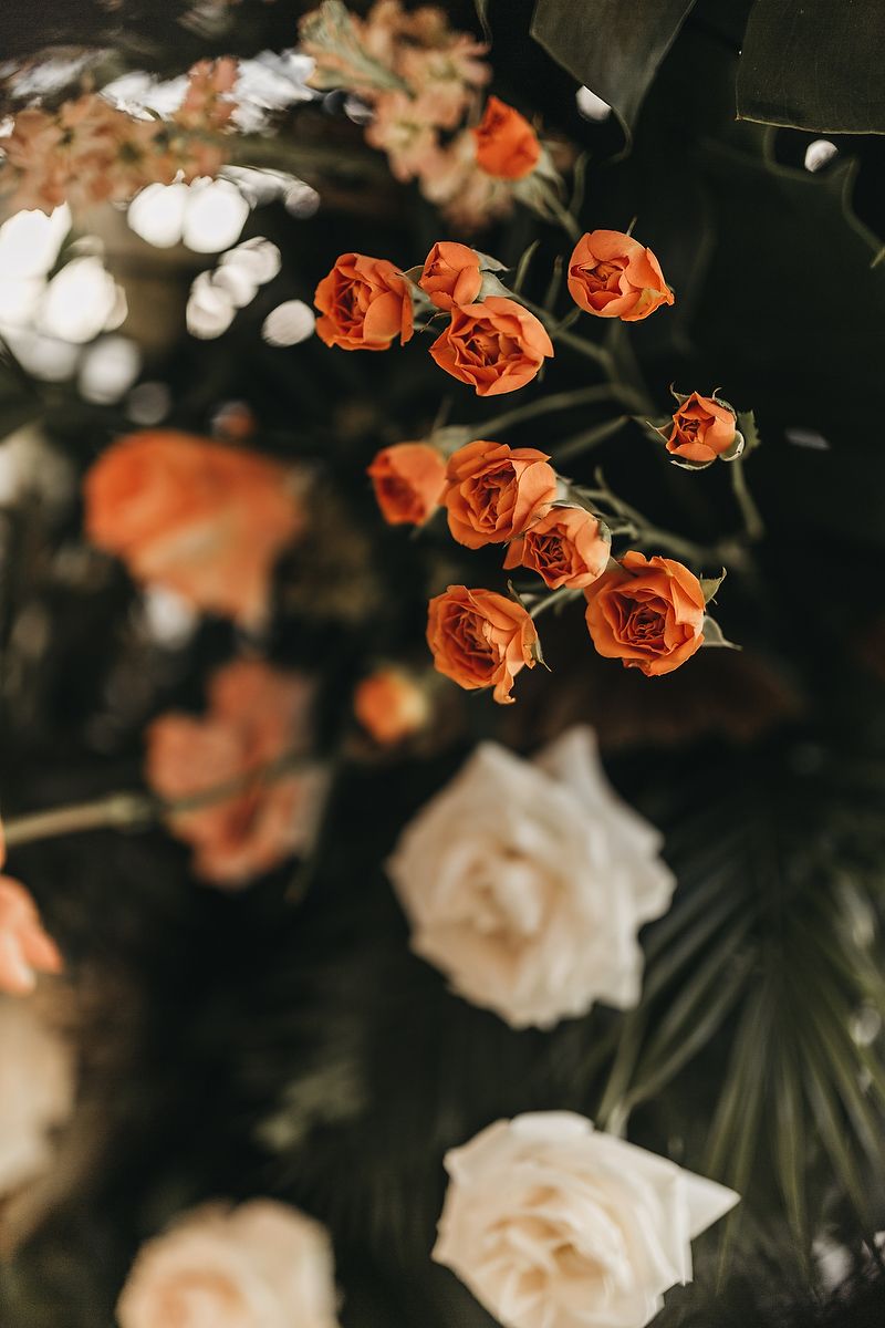 Close-up of vibrant orange spray roses and soft white roses arranged with dark green foliage in an elegant floral display.