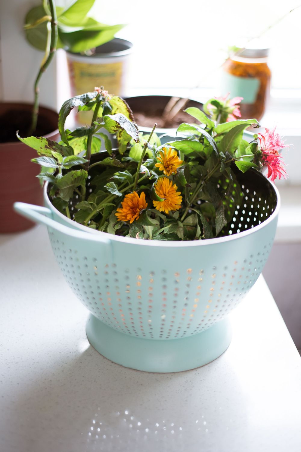 Mint green colander filled with fresh flowers and greenery on white counter.