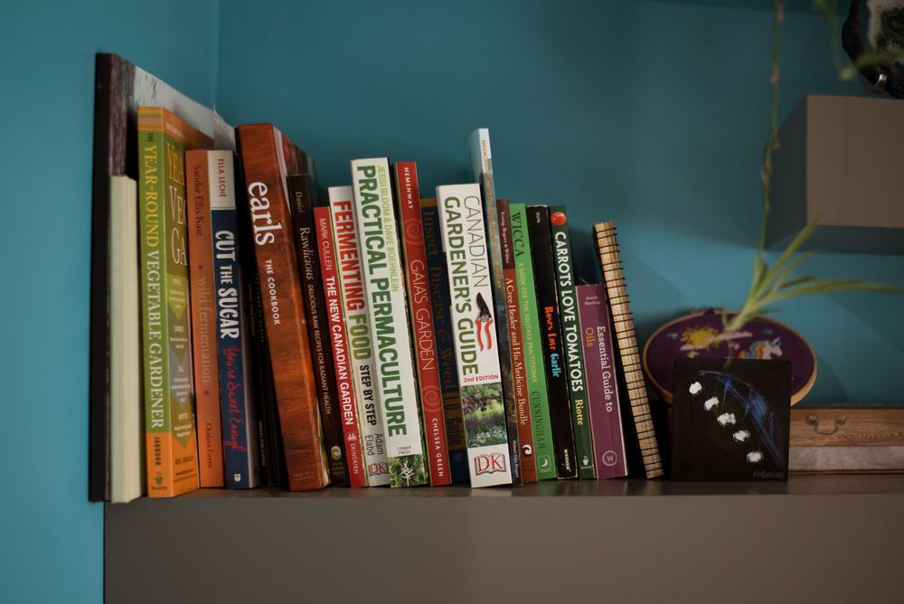 Collection of books arranged on shelf against turquoise wall.