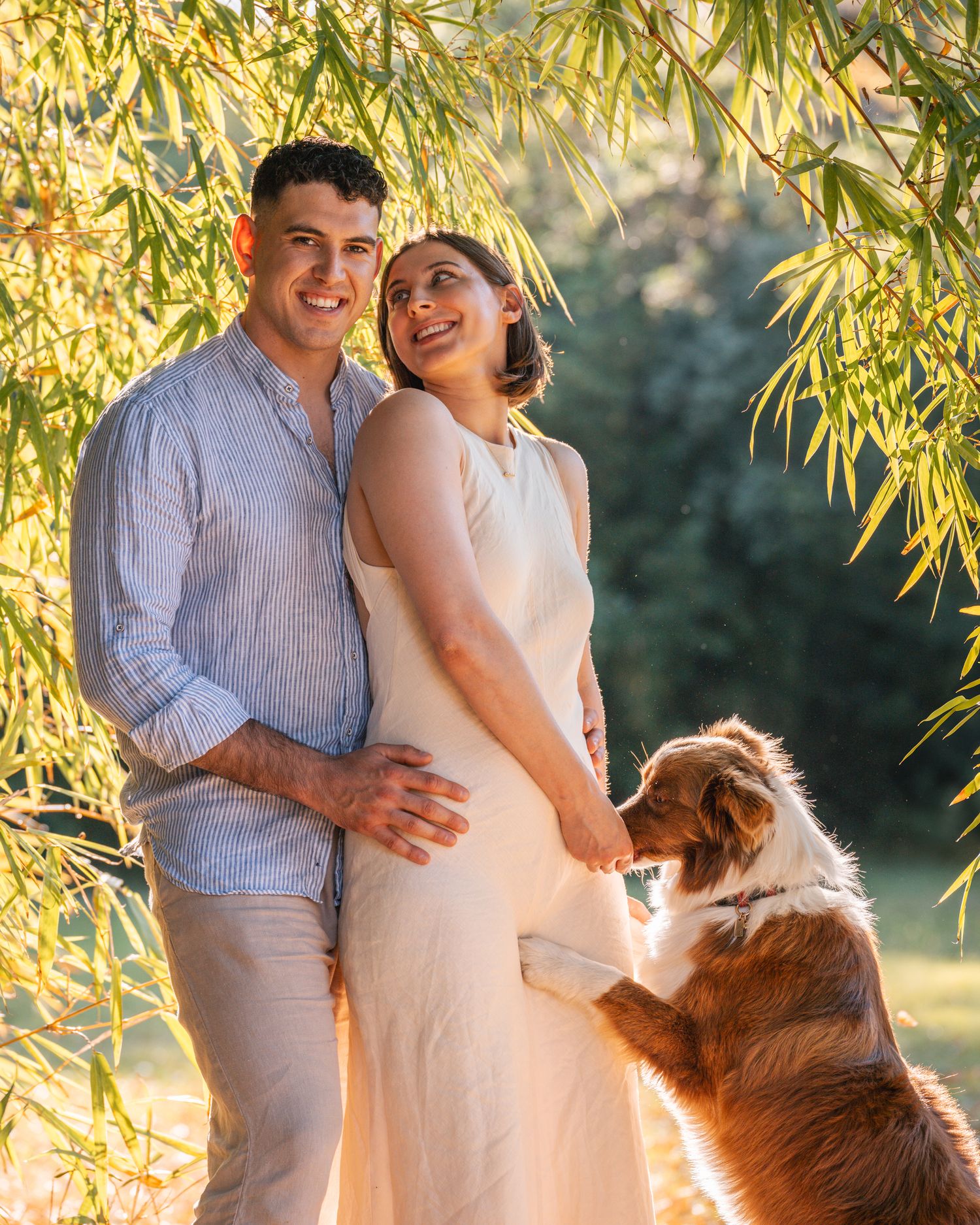 couple-and-their-dog-in-a-babmoo-during-a-couples-photoshoot-in-sydney
