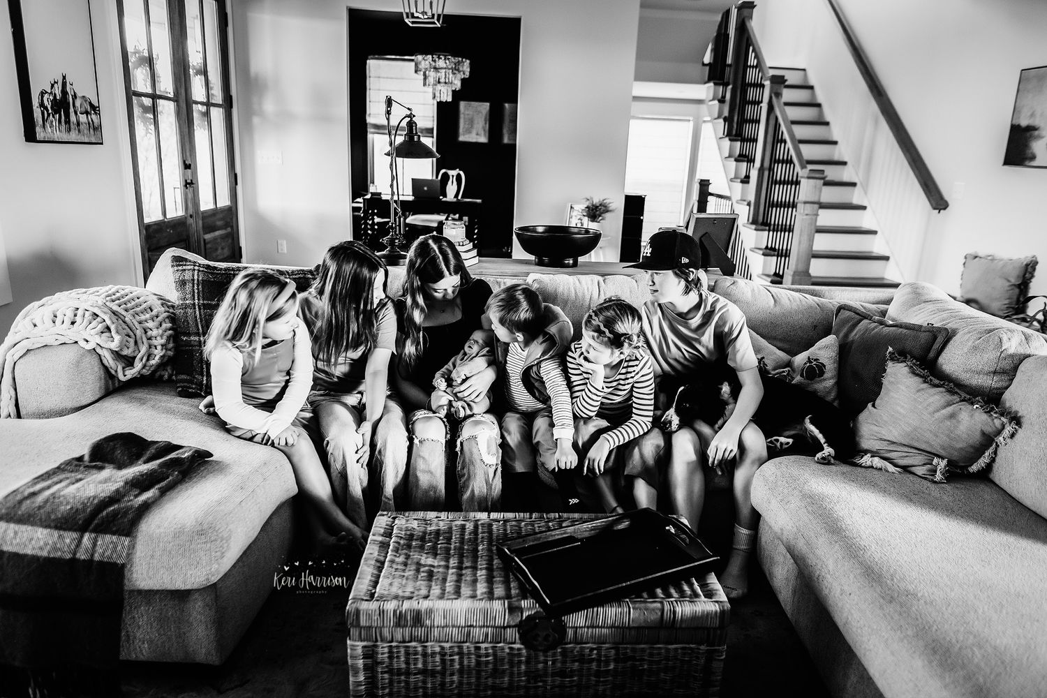 Ann Arbor Newborn Photographer