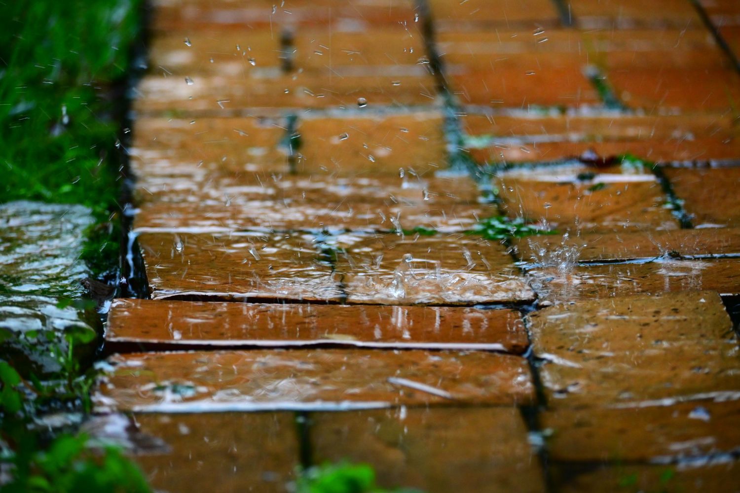 Brick walkway in the rain