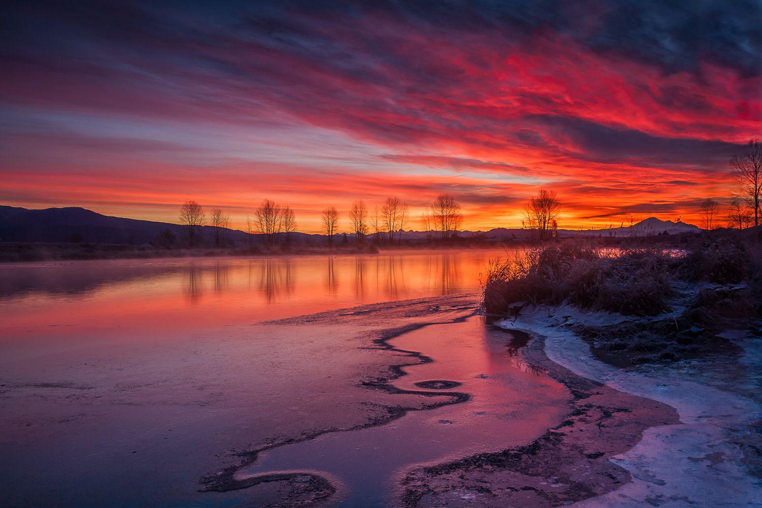 Alouette River Pitt Meadows British Columbia