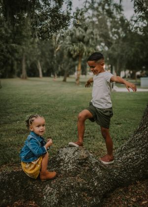 Children playing around a tree trunk in a grassy park setting during golden hour.