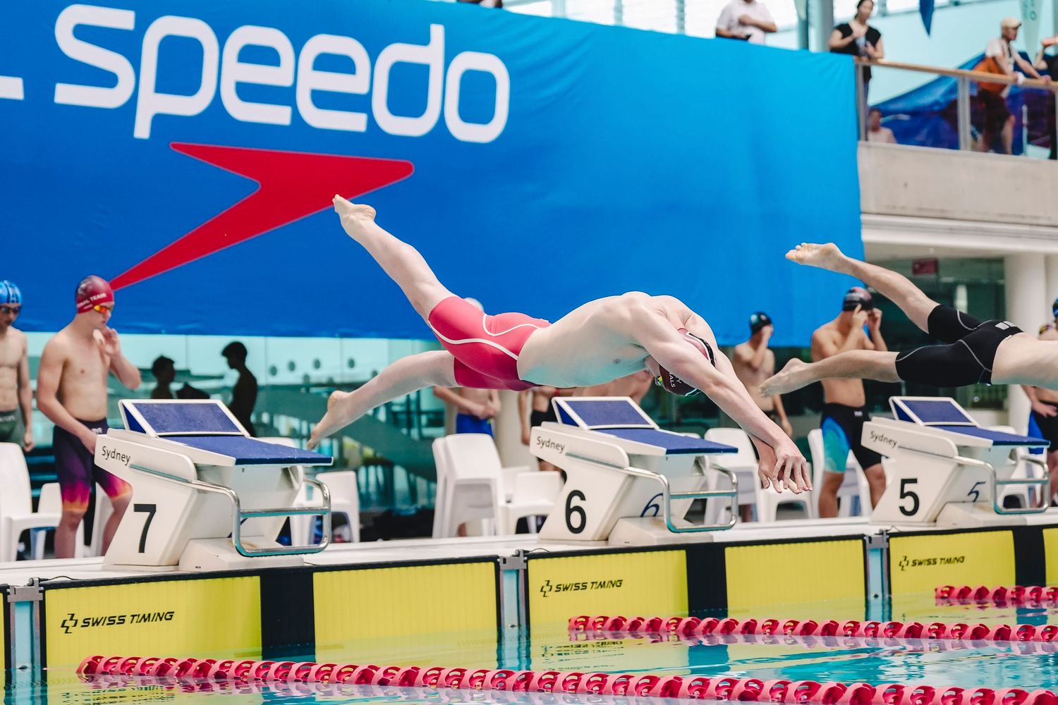 Multiple swimmers dive off starting blocks simultaneously during competitive swimming race.