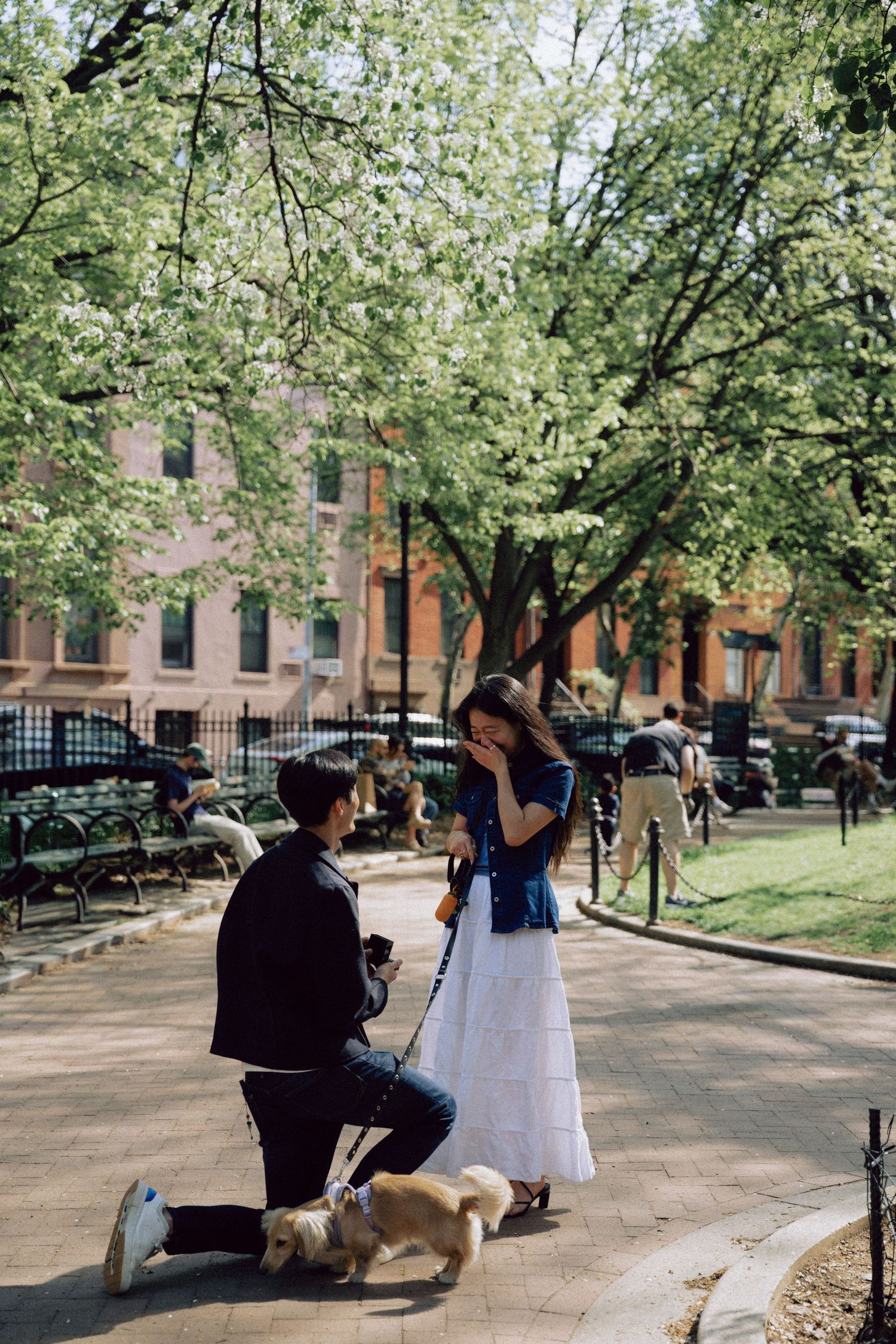 An ethereal, cinematic portrait of a beautiful woman in Central Park—timeless elegance meets New York’s natural charm