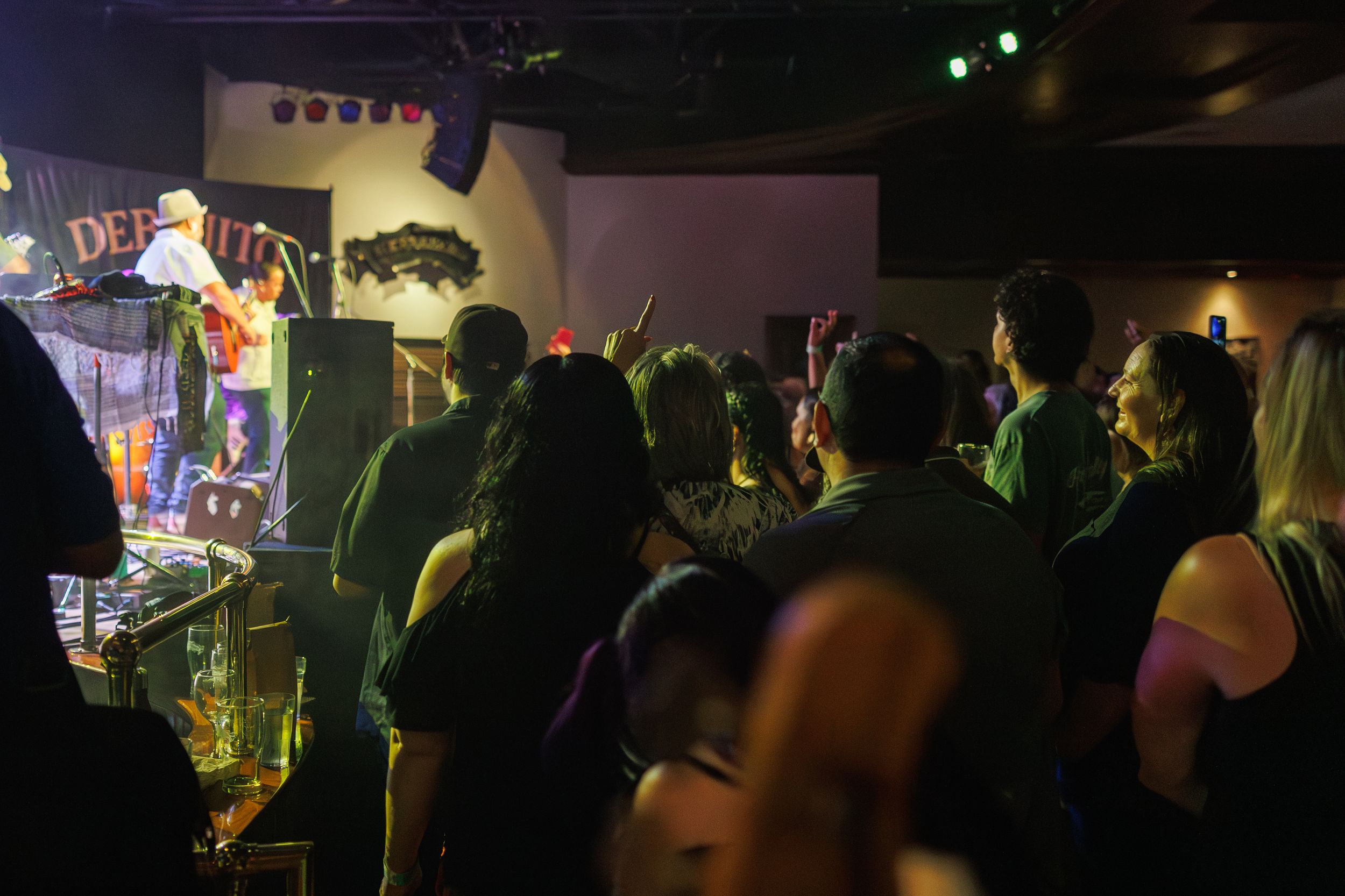 Dark concert venue with silhouettes of audience members watching a performance.