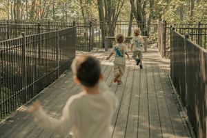 A wooden boardwalk winds through a shaded wooded area with metal railings on both sides.
