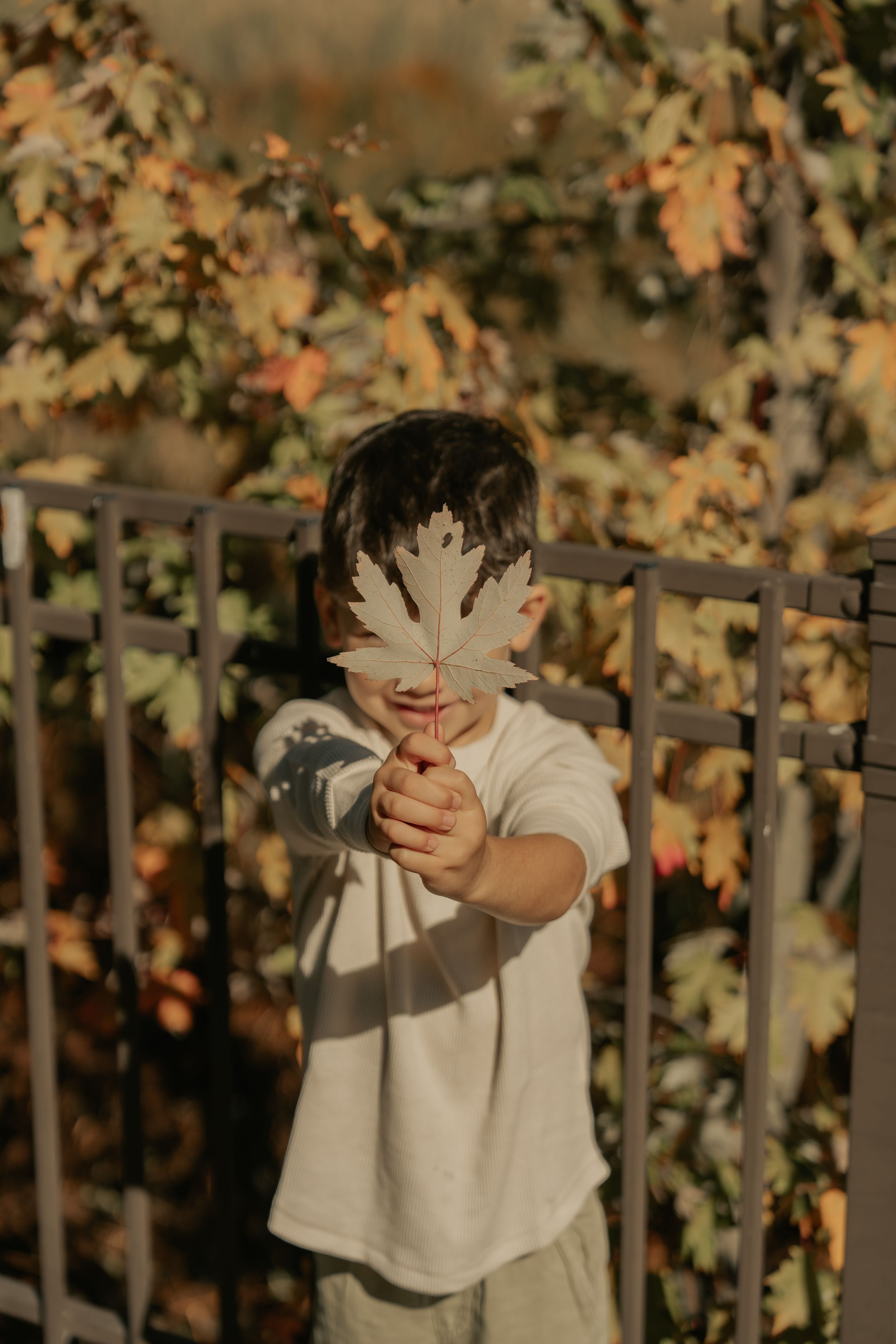 Person playfully peeks through autumn leaves while wearing a light colored sweater in outdoor setting.
