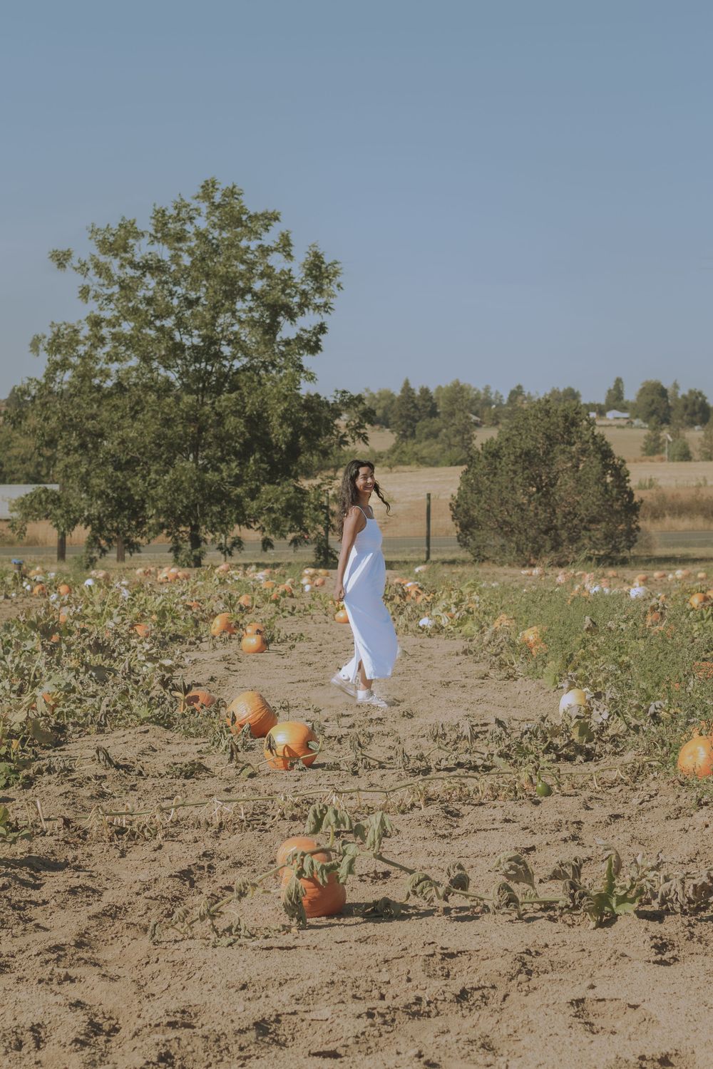 Girl frolicking in pumpkin patch for Halloween carving options at Eleven Acres in Green Bluff, WA.