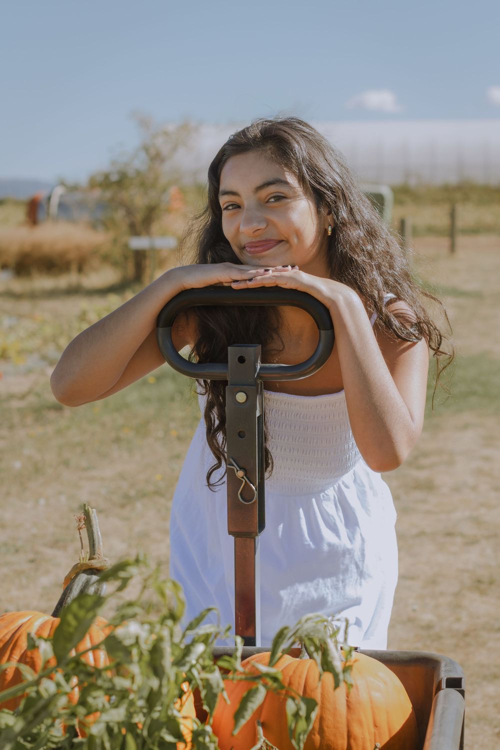 Class of 2025 senior girl resting head and hands on the handle of a wheelbarrow filled with pumpkins for fall farm experience in Green Bluff