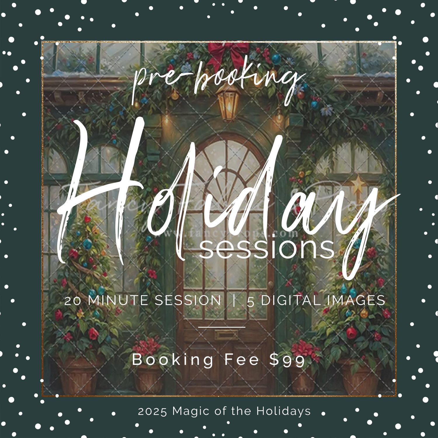 Christmas Promo