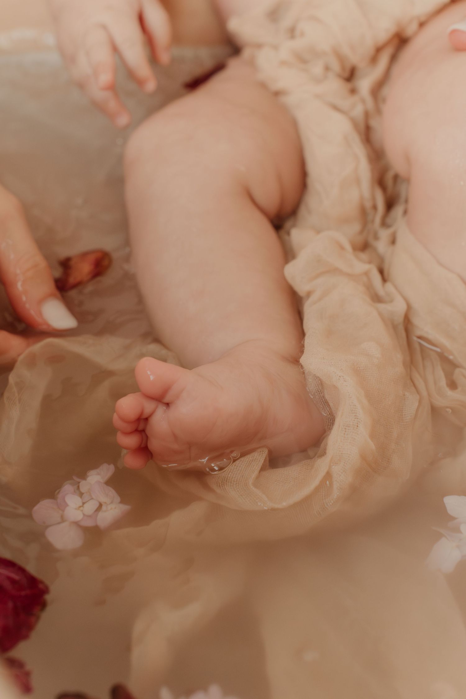 Servizio fotografico maternità a Cogliate  
 Ritratti delicati e intimi per future mamme. Sessioni in studio, a domicilio o al tramonto