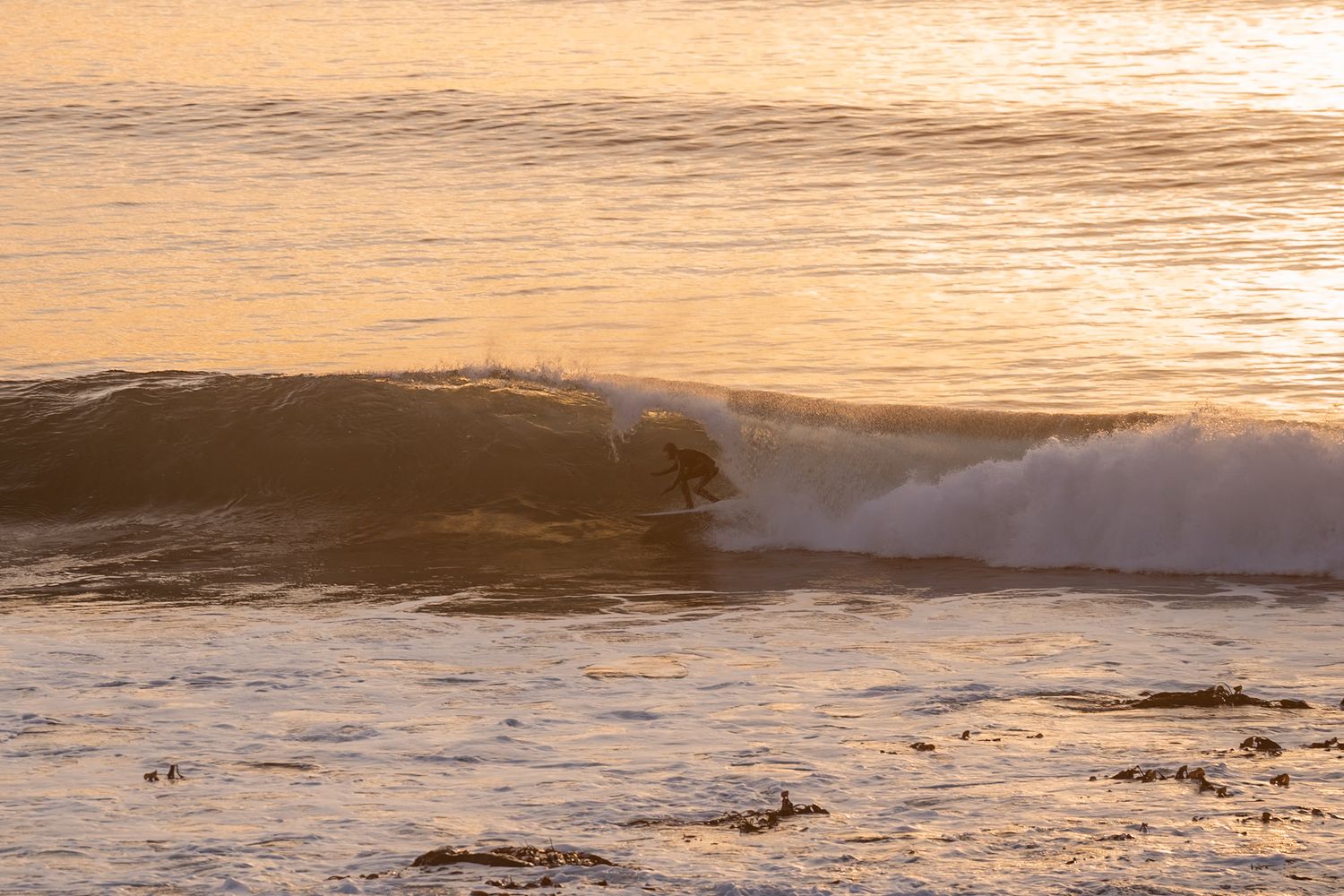 surfeur arctique unstad