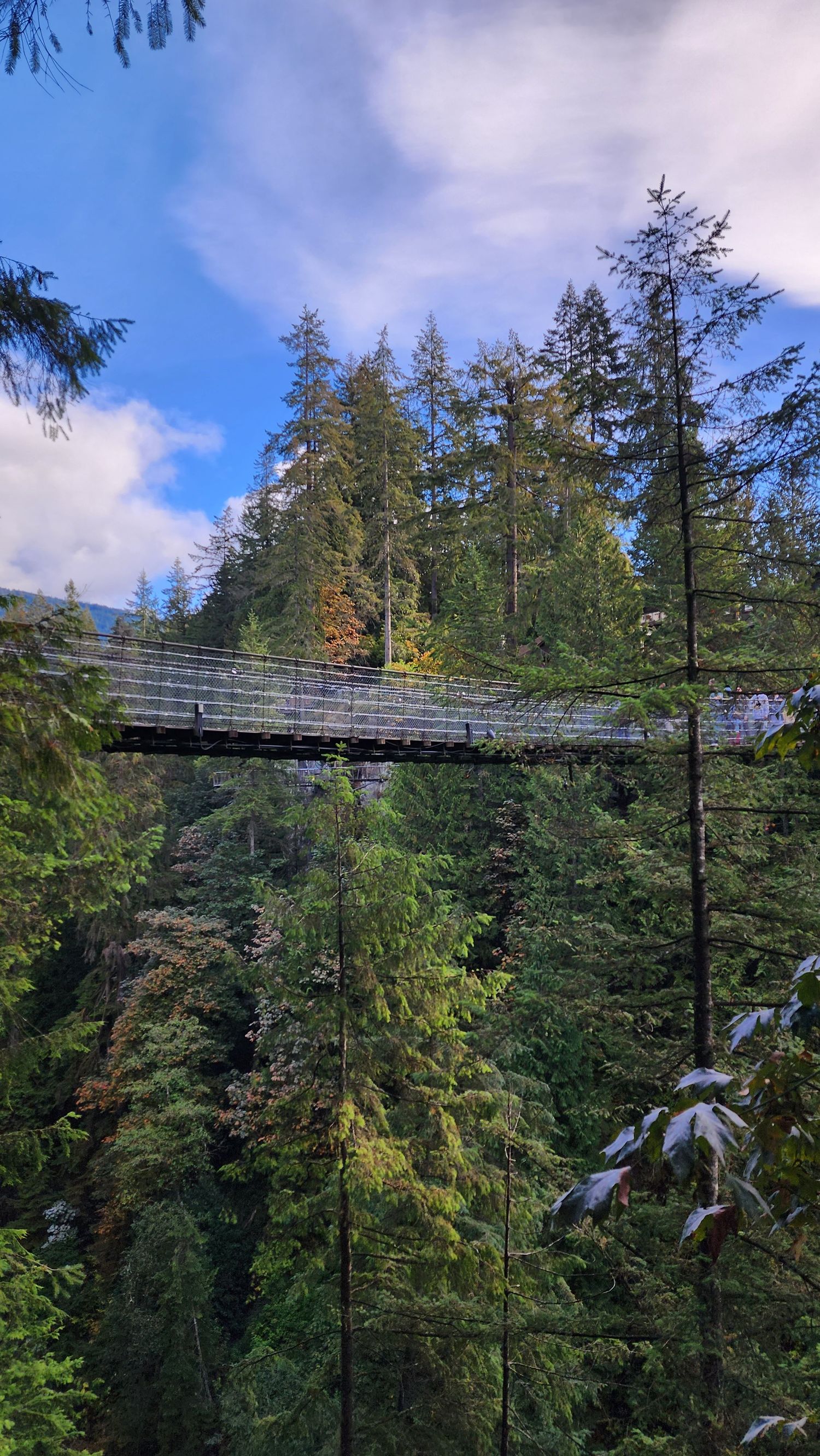 Capilano Suspension Bridge stretching across a lush forest in Vancouver, Canada.