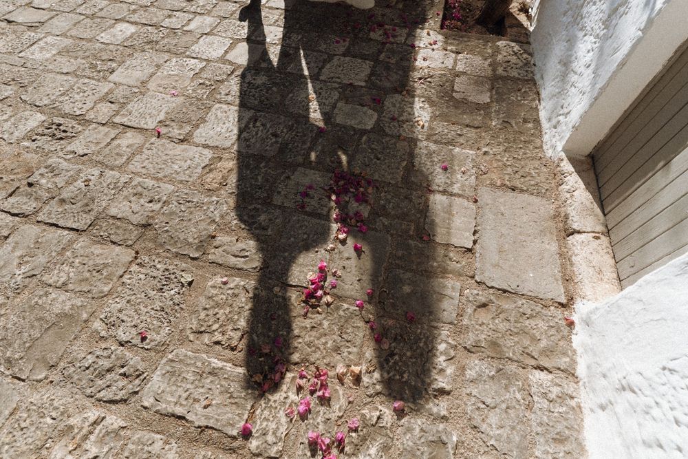 A small black cat sits on stone steps next to pink flowering shrubs in an urban alleyway.