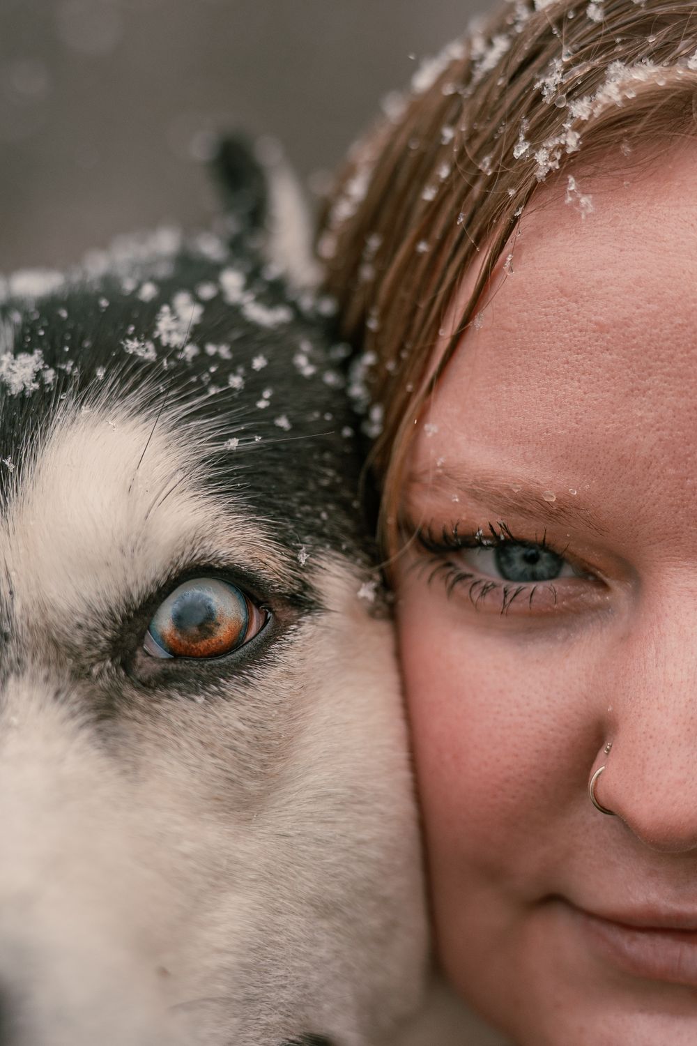 authentically you, solo portraits, woman and dog, eye photo, husky
