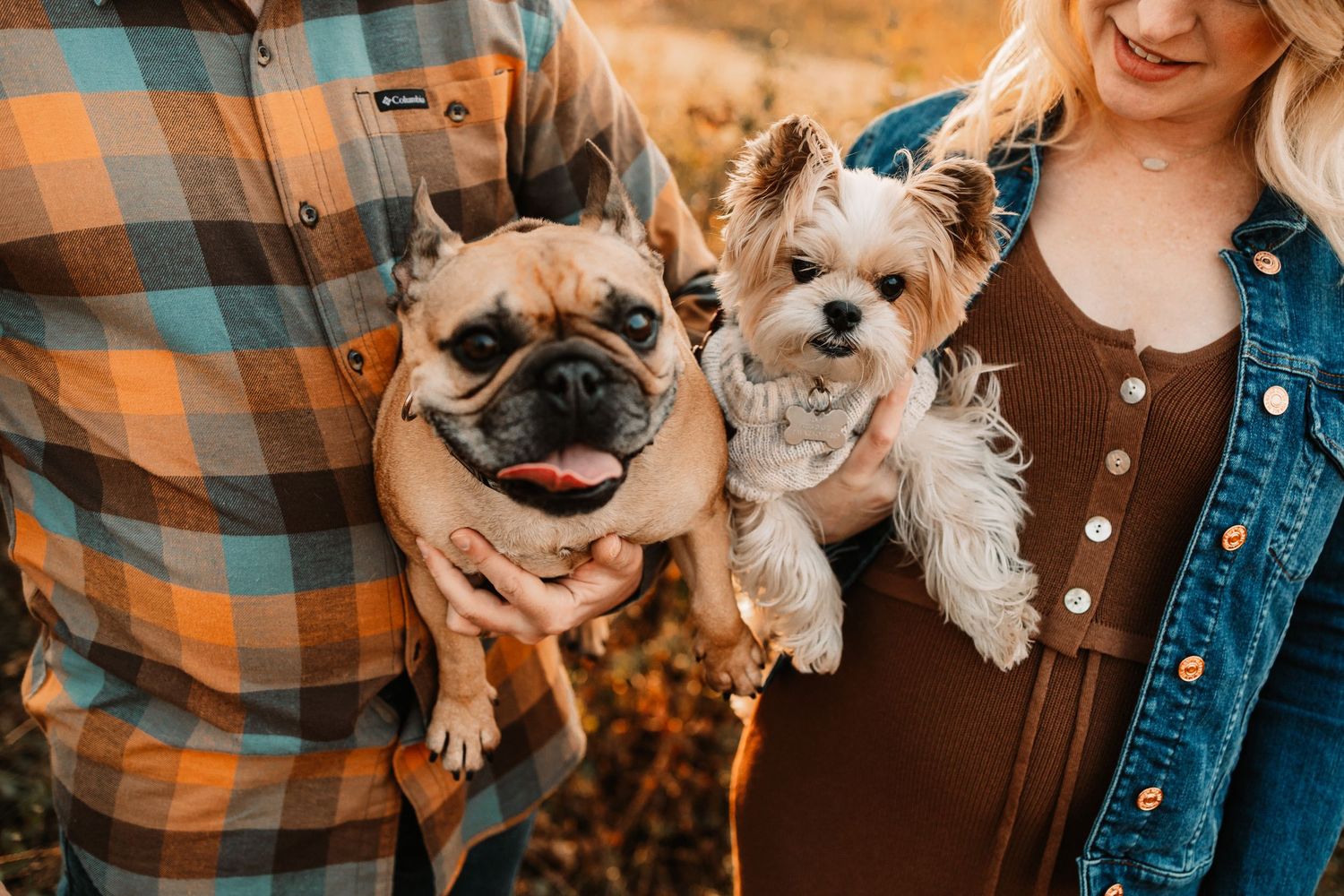 Close-up of couple holding a French Bulldog and small fluffy dog in fall setting.