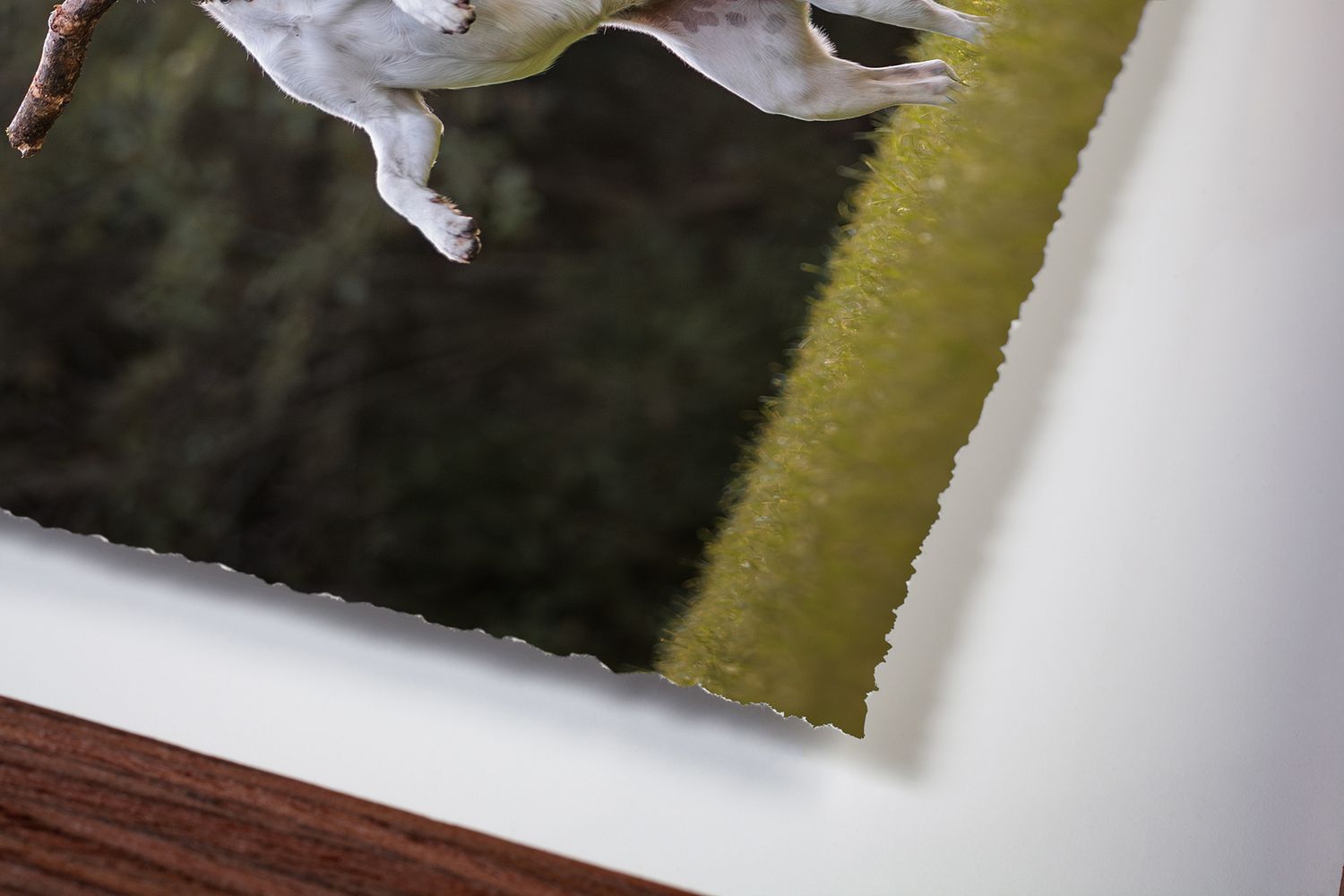Close-up detail of brown wooden picture frame corner with white matting.