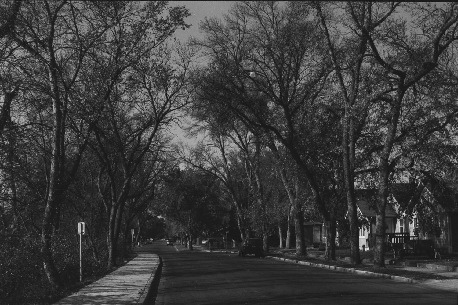 7th AVE NW - Sadie Lynn