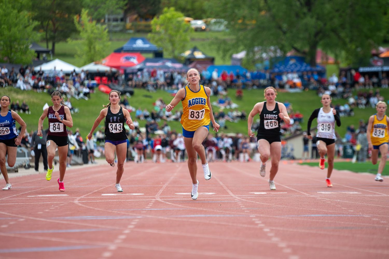 Sports - Sadie Lynn Media