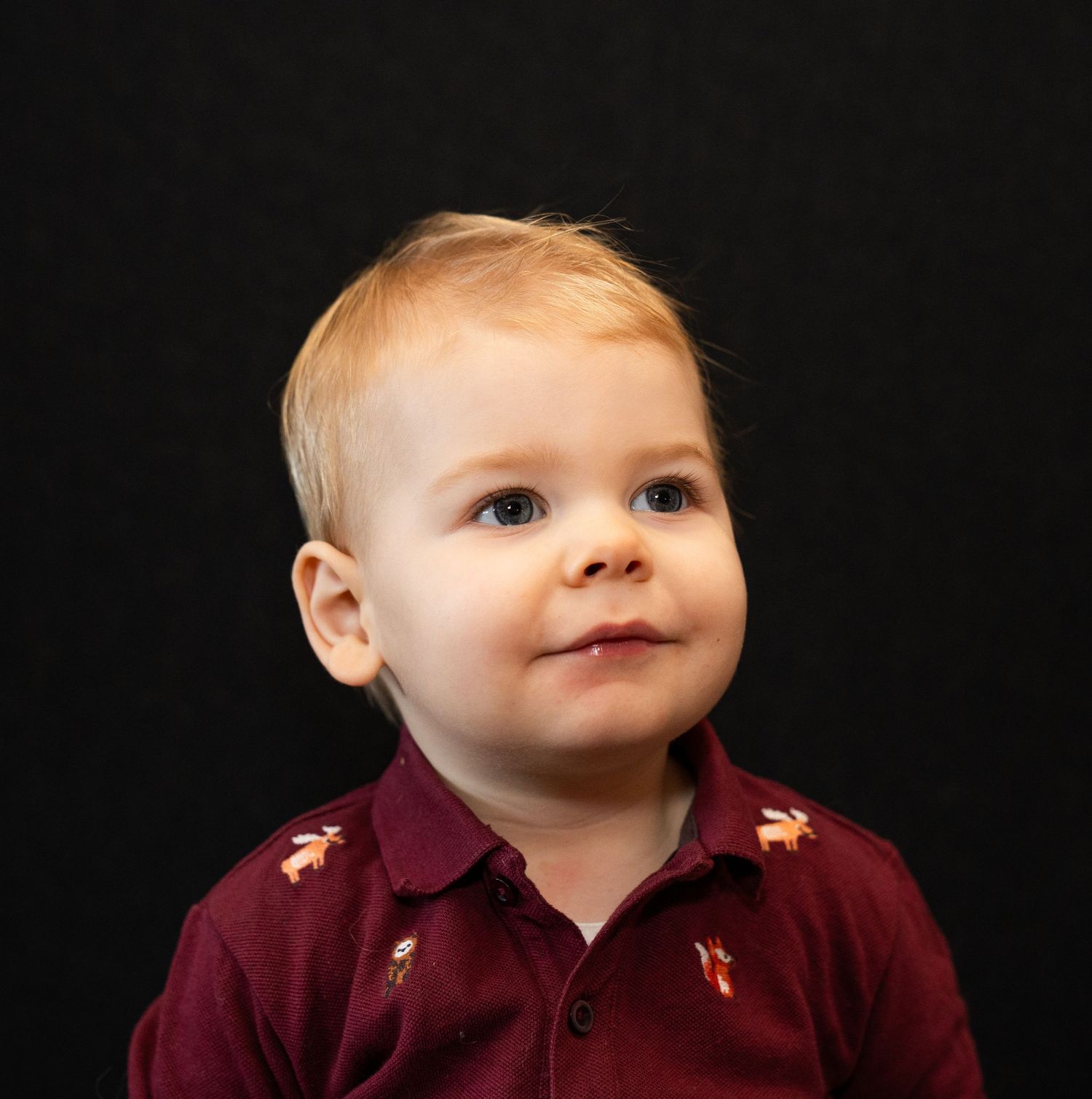 "Peuter met blond haar en een bordeauxrood shirt kijkt dromerig omhoog met een kleine glimlach. Zachte, rustige sfeer."