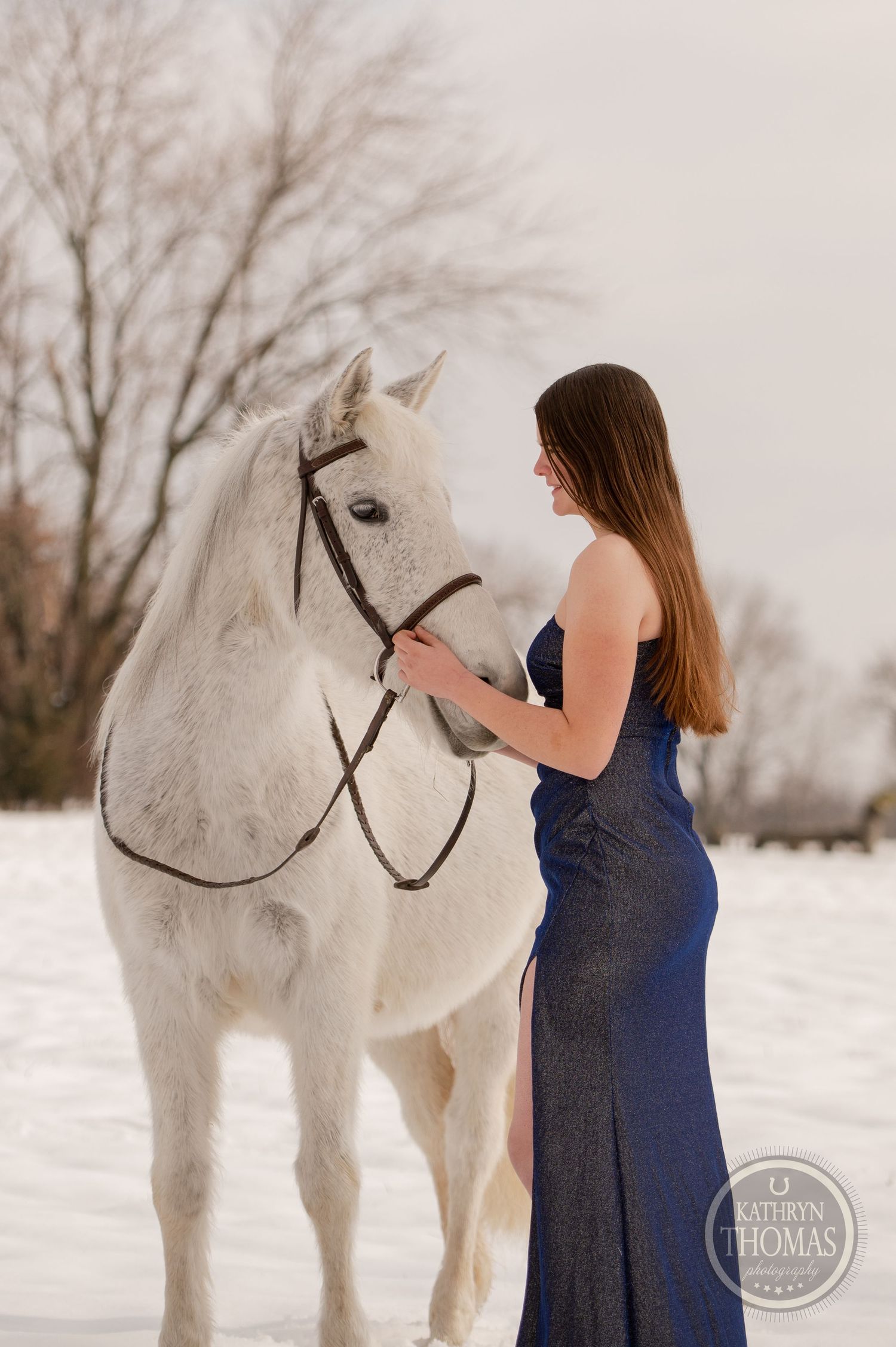 A person in a navy evening gown tends to a white horse in a snow-covered winter field.