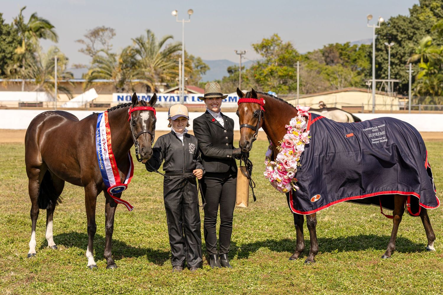 Award-winning horses wearing ribbons and blankets stand with handlers at an equestrian competition.