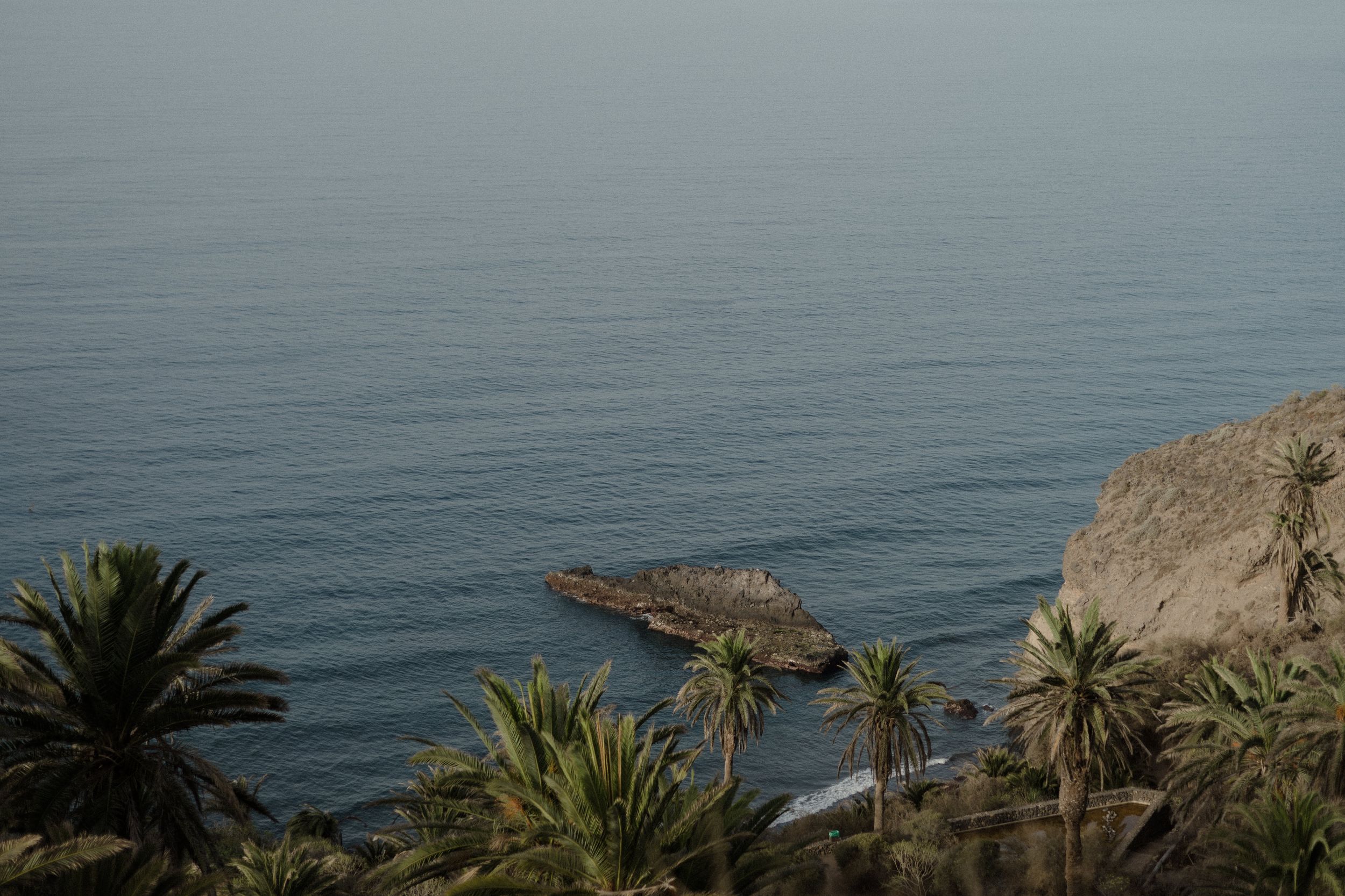 Scenic Mediterranean coastal landscape with palm trees and rugged cliffs overlooking the calm blue sea.