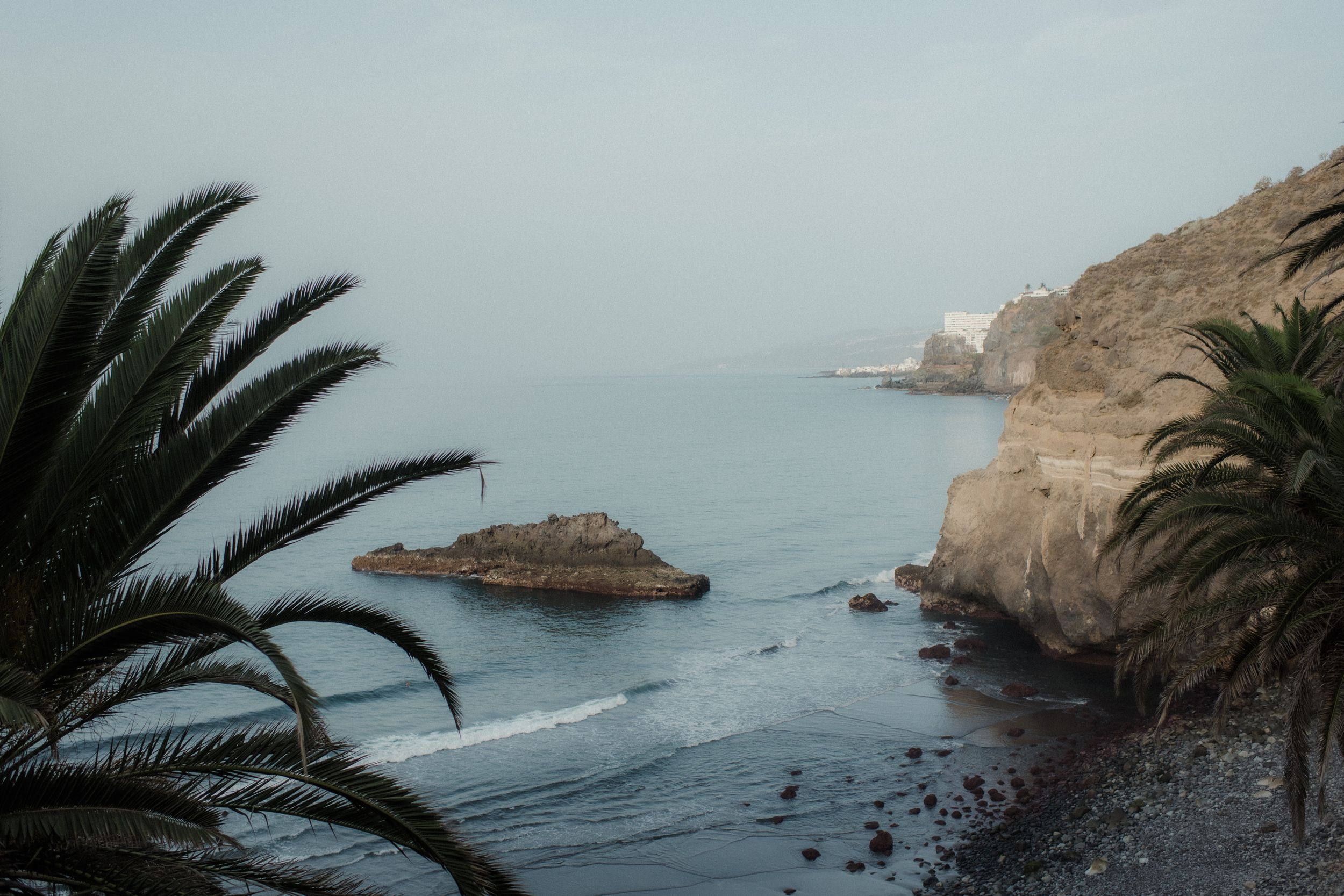 Rugged coastal cliffs with palm trees and crashing waves along a dramatic rocky shoreline at sunset.
