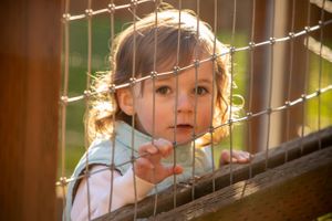 A little girl looking through a wire fence.