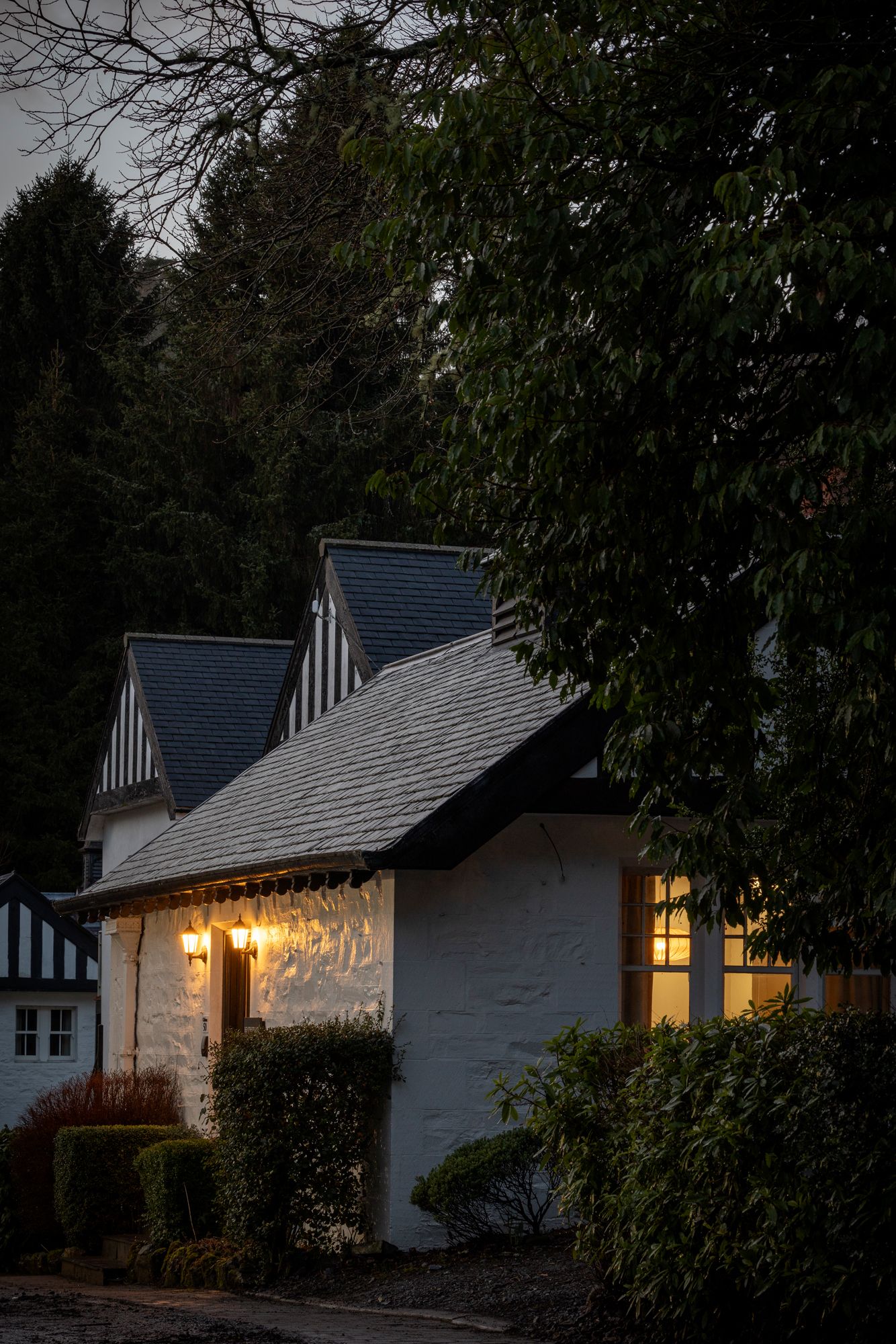 Pine Trees Hotel 

Susie Lowe - Commercial Photographer 
Scotland, Edinburgh, London