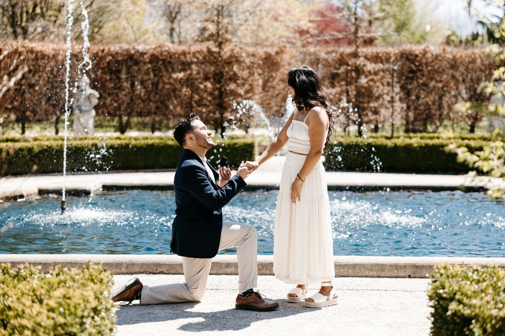 A marriage proposal takes place in front of a beautiful fountain in a manicured garden on a sunny day.
