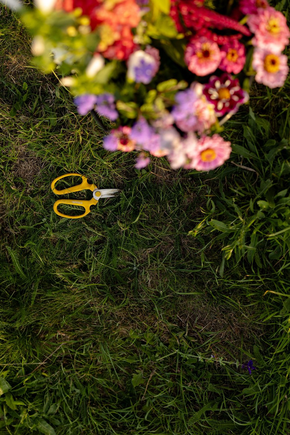 Yellow scissors rest on grass beneath colorful flower arrangements in soft focus.