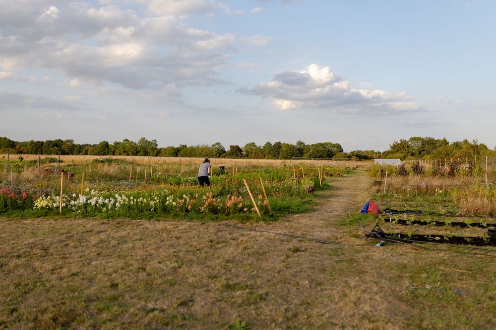 A winding dirt path leads through a rural garden with flowers and trees under a cloudy evening sky.