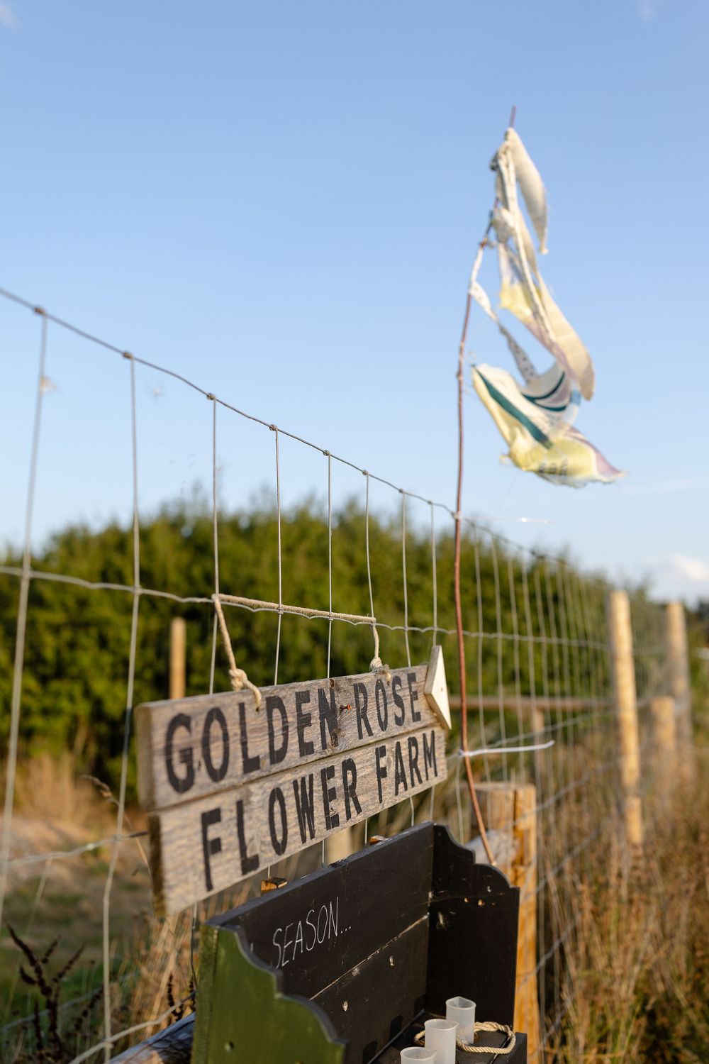 Rustic wooden sign reading 'GOLDEN ROSE FLOWER FARM' with white flags fluttering in the breeze.