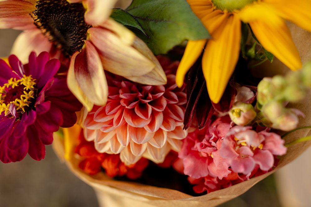 Vibrant autumn floral arrangement with pink dahlias, yellow sunflowers, and orange blooms in warm natural lighting.
