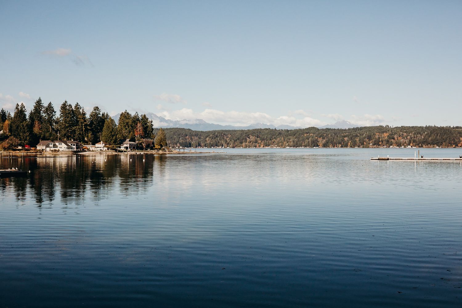 Scenic panoramic view of a tranquil lake surrounded by evergreen trees and distant mountains on a clear day.
