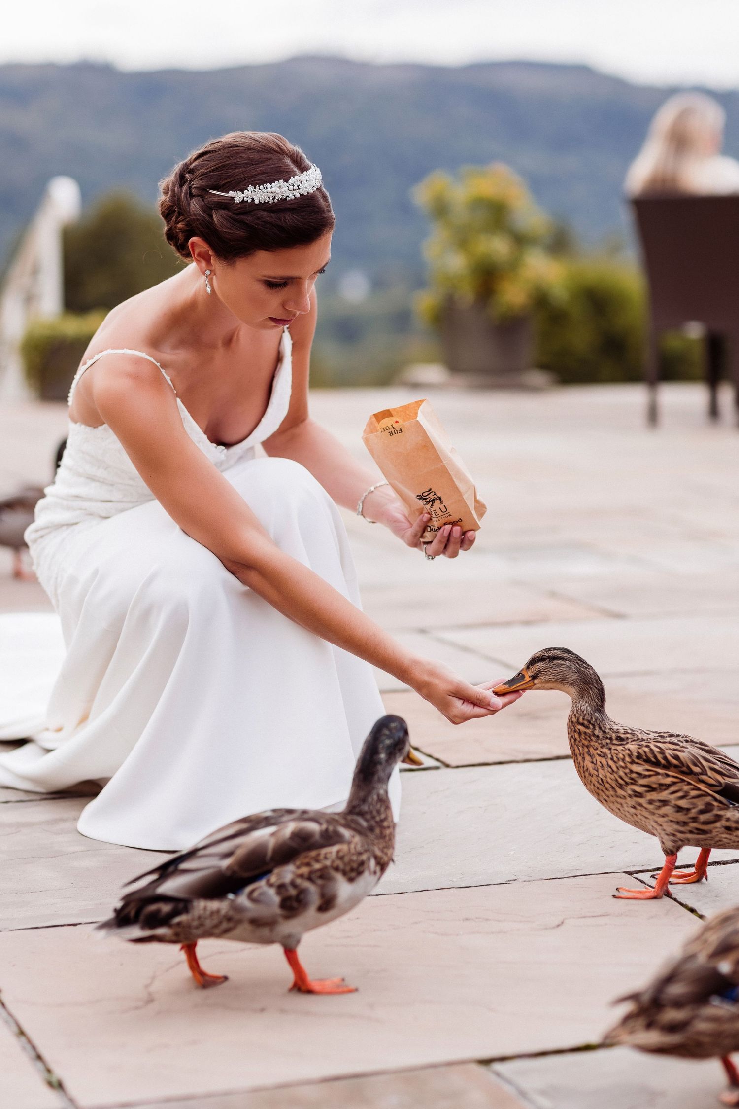 A bride in a white dress feeding ducks on a stone patio with mountains in the background.
