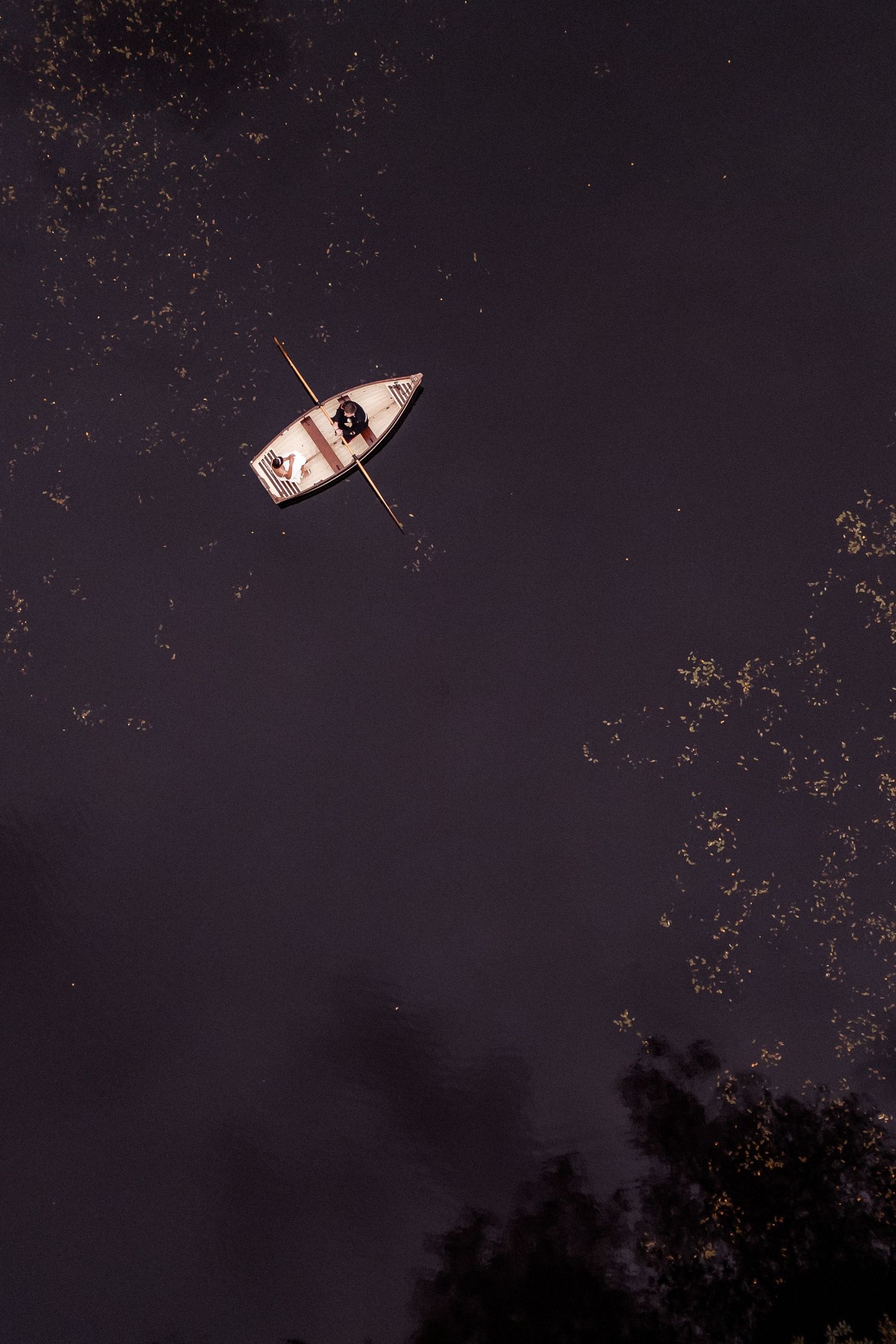 Illuminated paper lanterns floating against dark night sky creating magical light display.
