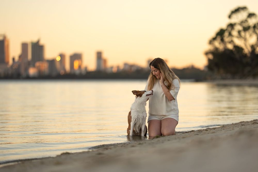 Woman kneeling on sandy beach petting her dog at golden hour with city skyline reflected on calm water.